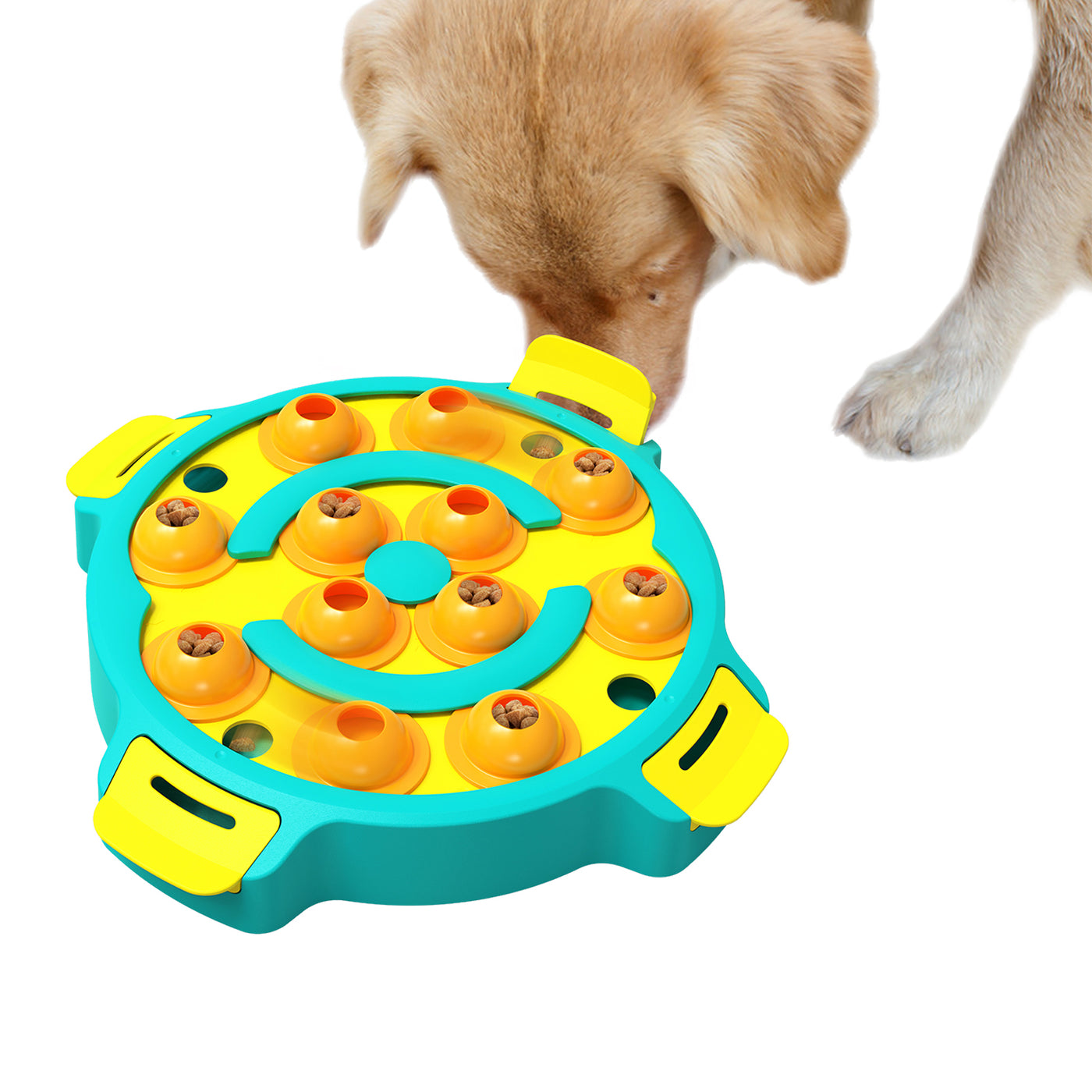 Dog Puzzle Toys Cat Pet Slow Feeder Bowl for IQ Training & Mental Enrichment
