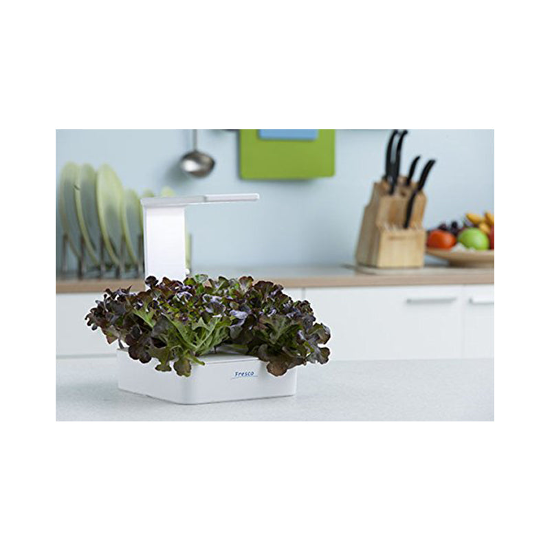 Plant Grow LED Light Kit, Indoor Grew Gardening Kit Herb Pots, Dual Hydroponics